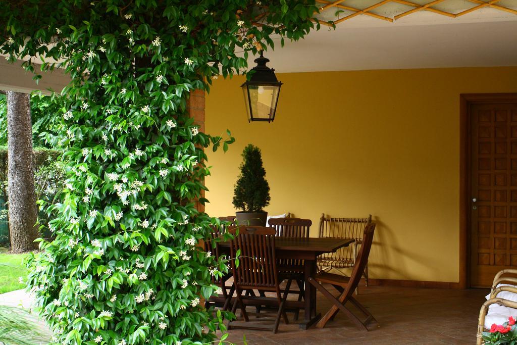 B&B Igea 50 Modena Eksteriør bilde